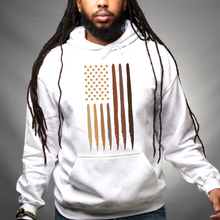 Load image into Gallery viewer, Melanin Flag Unisex Hoodie
